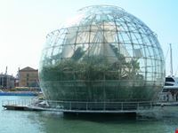 Biosfera
