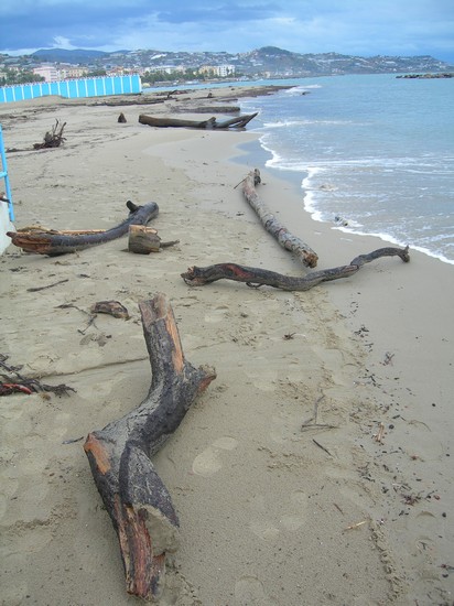 Spiaggia d'inverno