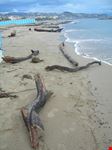 Spiaggia d'inverno
