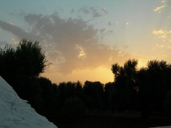 Ceglie Messapica Tramonto e ulivi  