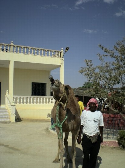 Sosta nel deserto