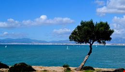palma bay palma di maiorca