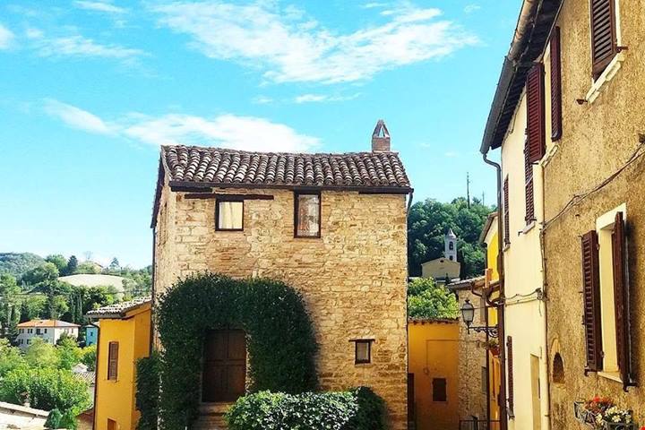 I tartufi più buoni del mondo li trovi nelle Marche: la regione regina dell'autunno ti aspetta!