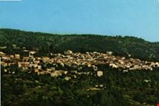 petrona