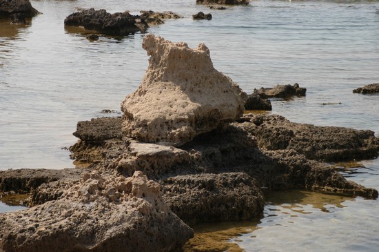 scheletri