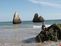 mare