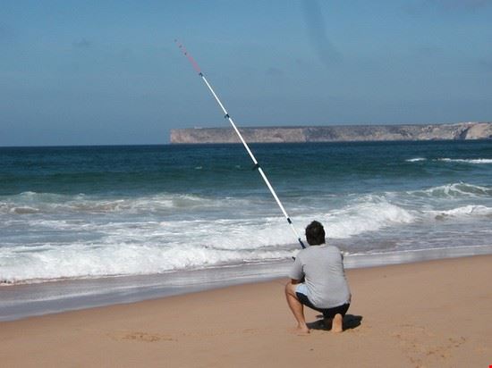 Faro  
