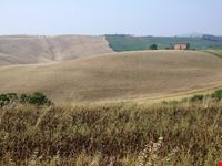 campagna