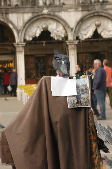 fotografo