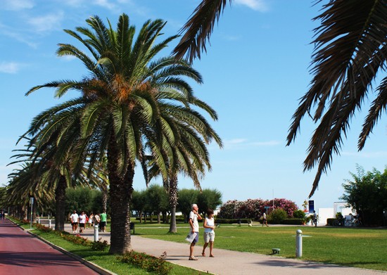 lungomare centro