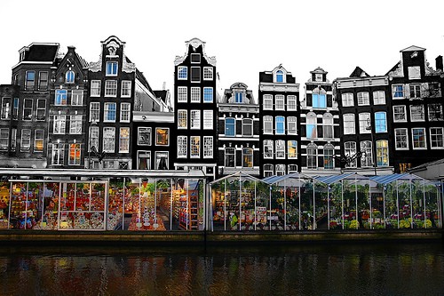 Bloemenmarkt Amsterdam