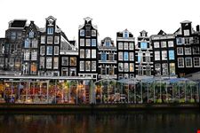 Bloemenmarkt Amsterdam