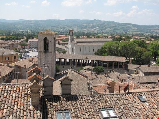  Gubbio Friar's Balsam - Creative Commons Friar's Balsam