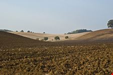 velletri umgebung von velletri