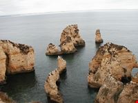 rocce faro
