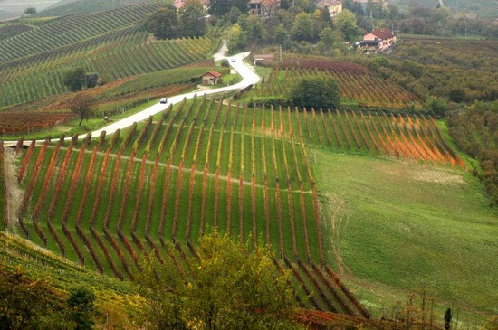 Langhe