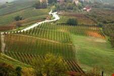 Langhe