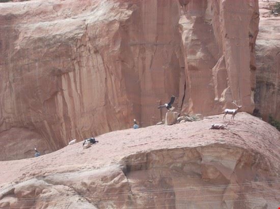  Grand Canyon  