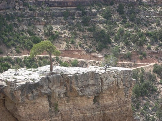 Grand Canyon National Park