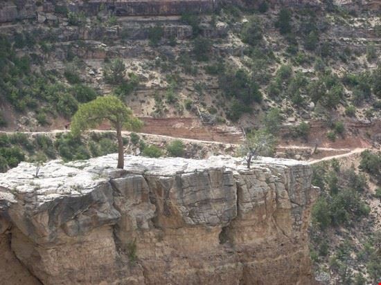  Grand Canyon  