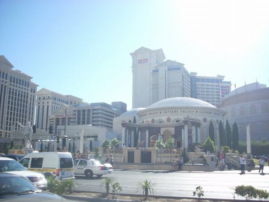 Downtown Area