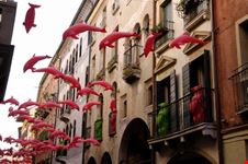 Calmaggiore