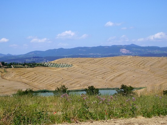 campagna