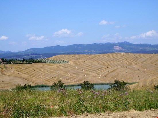  Lucca  