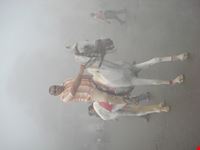 delhi