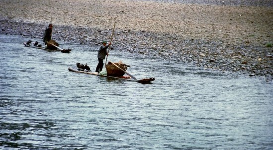pesca