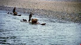 pesca