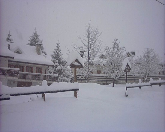 inverno