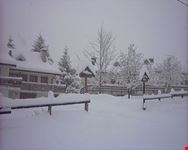 inverno