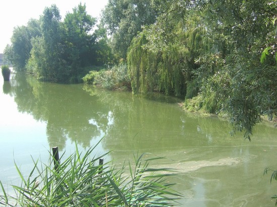 Alzaia del Sile