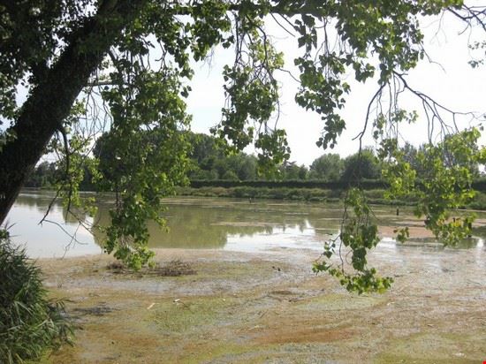 Pista ciclabile dell'Alzaia del Sile Pista ciclabile dell'Alzaia del Sile  