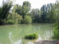 Alzaia del Sile