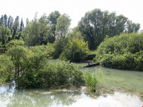 Pista ciclabile dell'Alzaia del Sile Pista ciclabile dell'Alzaia del Sile  