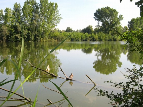 Alzaia del Sile