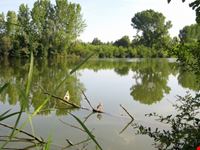 Alzaia del Sile