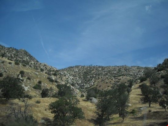  Sequoia National Park  