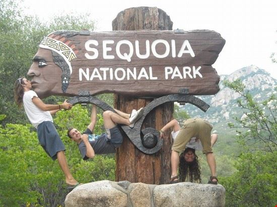  Sequoia National Park  