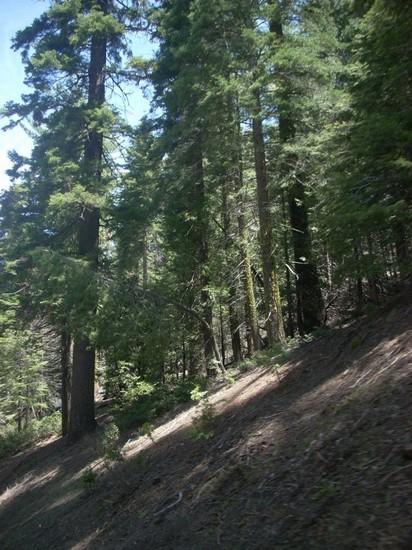 Sequoia National Park