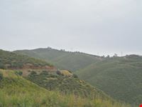 Paesaggio