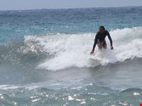 levanto surfer
