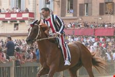sienne palio de sienna