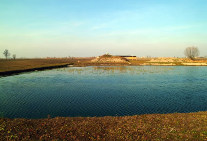 Terramara