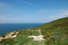 che pace sintra