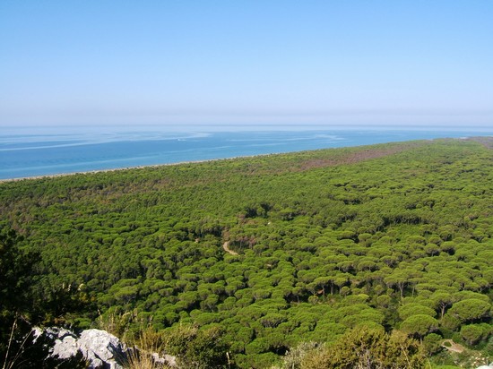 Parco della Maremma, è ufficiale: è un'eccellenza del turismo sostenibile!
