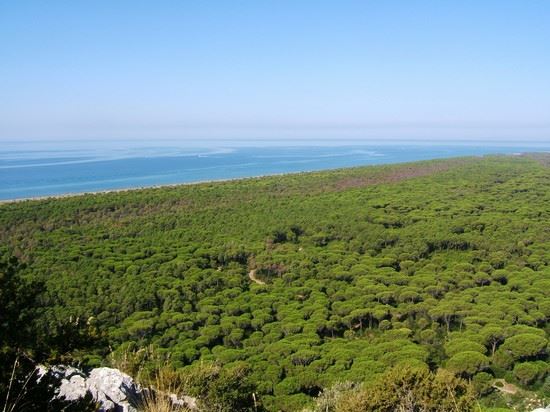 45335_alberese_il_parco_dell_uccellina_grosseto
