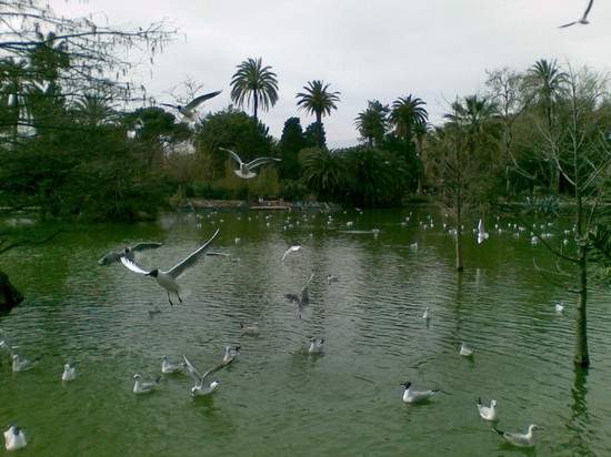 Parco della cittadella  - lago delle antre
